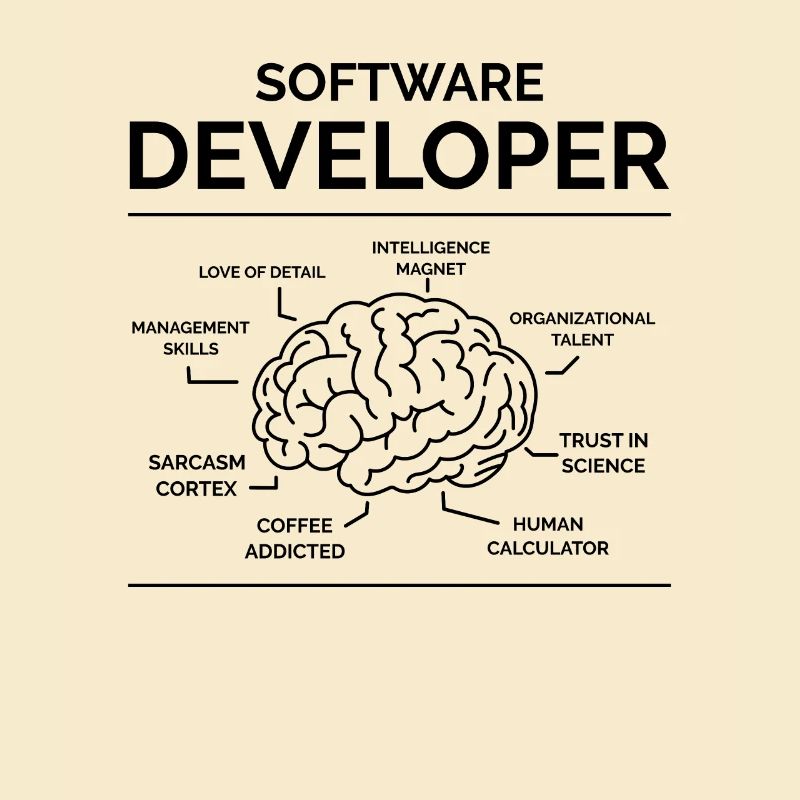 Software Developer