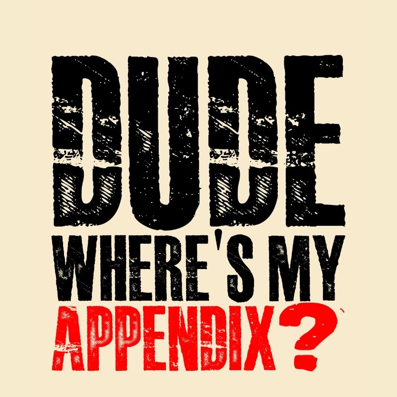 Dude Where's My Appendix 3