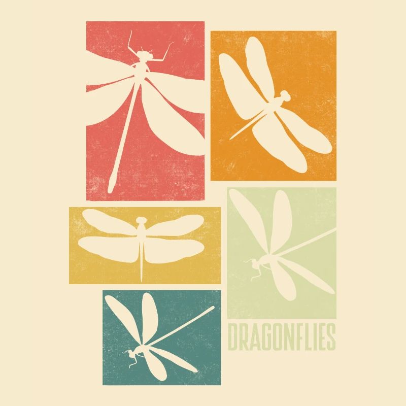 Libellenlibelle Libellen Entomologie