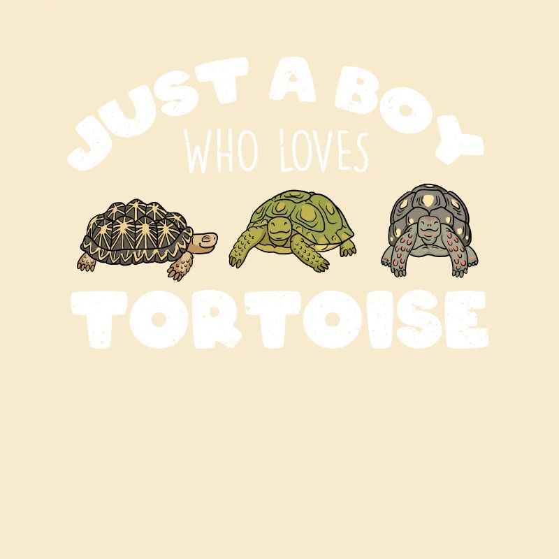 Nur ein Junge, der die Schildkröte liebt