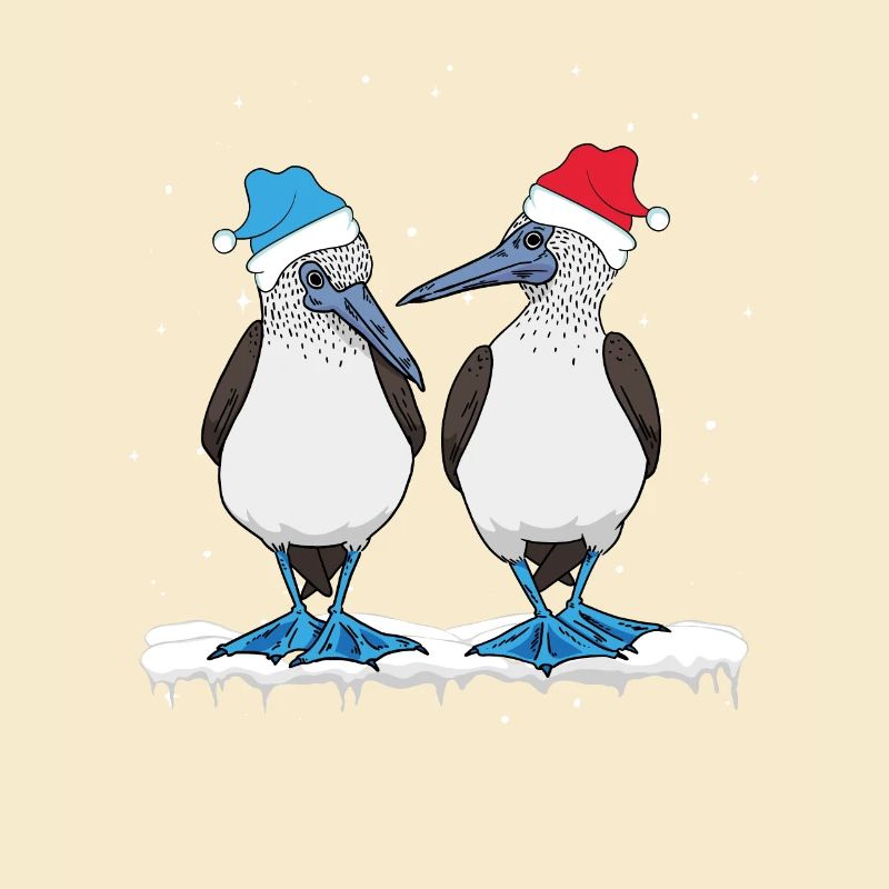 Blue-footed Christmas