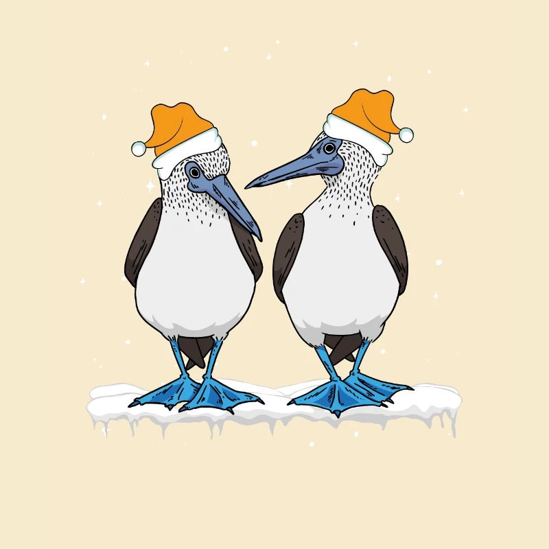 Blue-footed Christmas