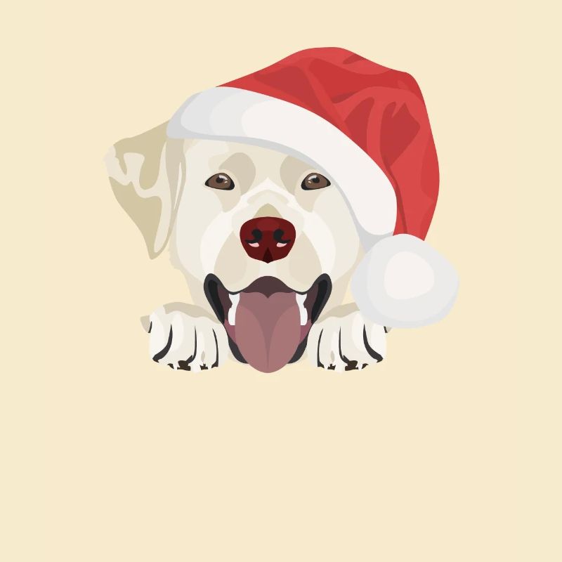 Joyeux Noël Labrador
