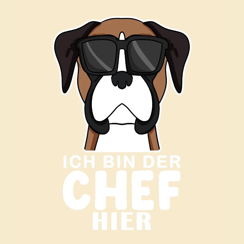 Hund Deutscher Boxer Cool Chef