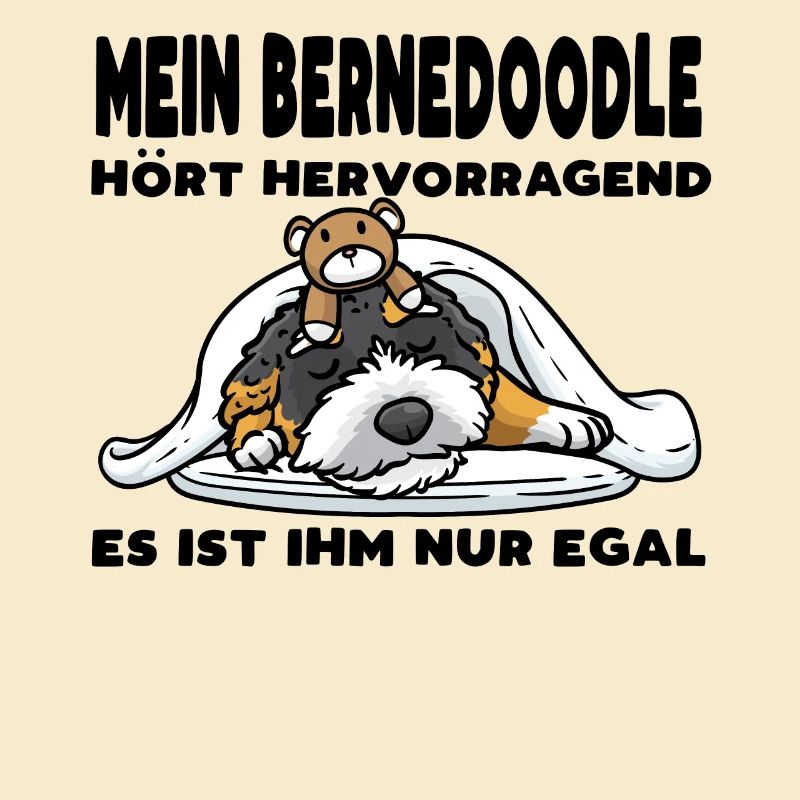 Bernedoodle Hund