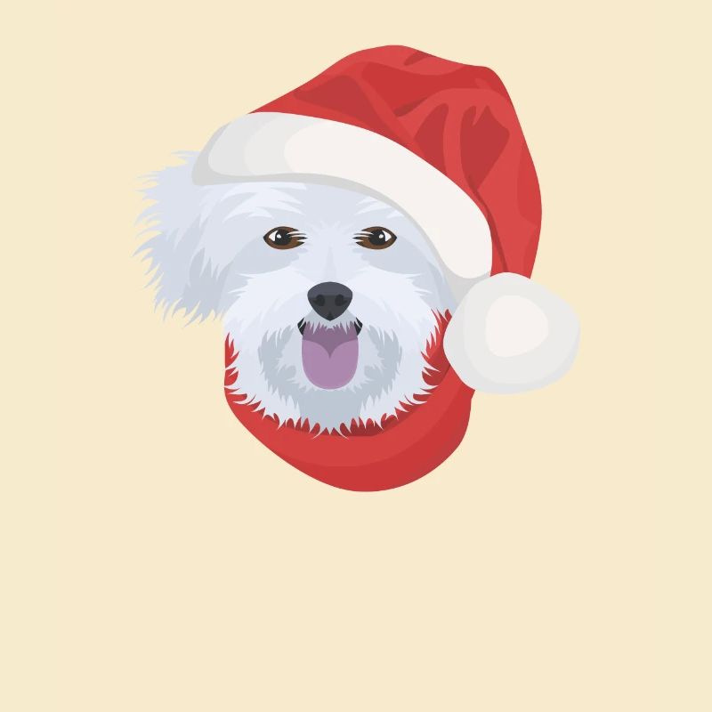 Malteser Joyeux Noël