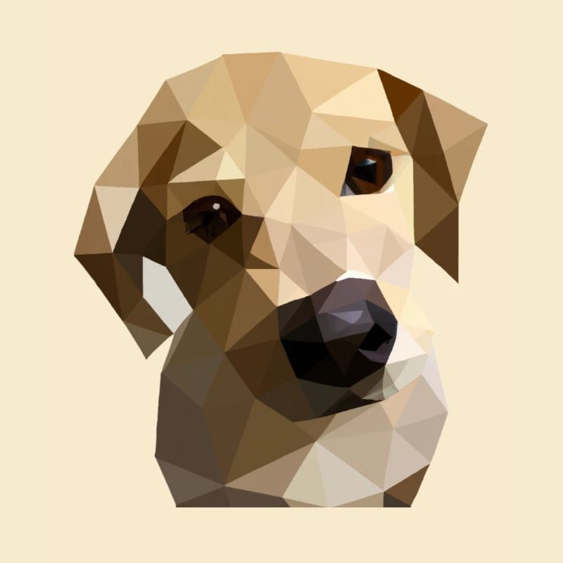 Low Poly Labrador Chien