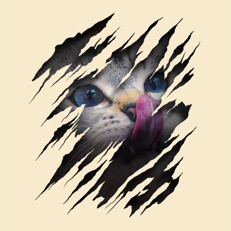 Cat with scratch - Cat face Scratch Cat