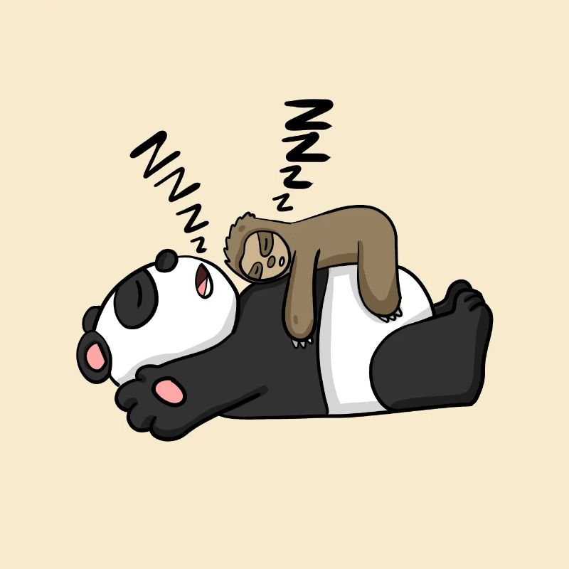 Faultier und Panda