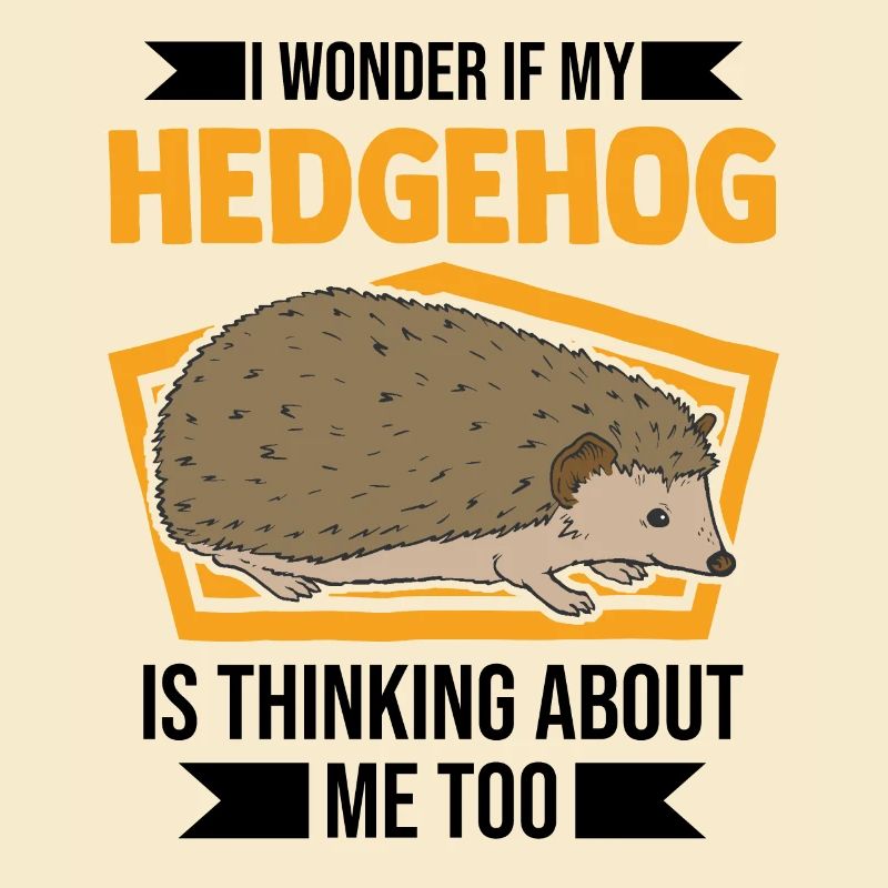 Hedgehog Gift Stacheligel