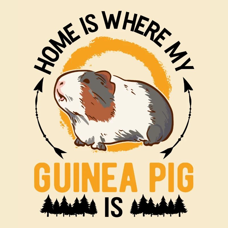 Cochons d’Inde à la maison Cochon d’Inde