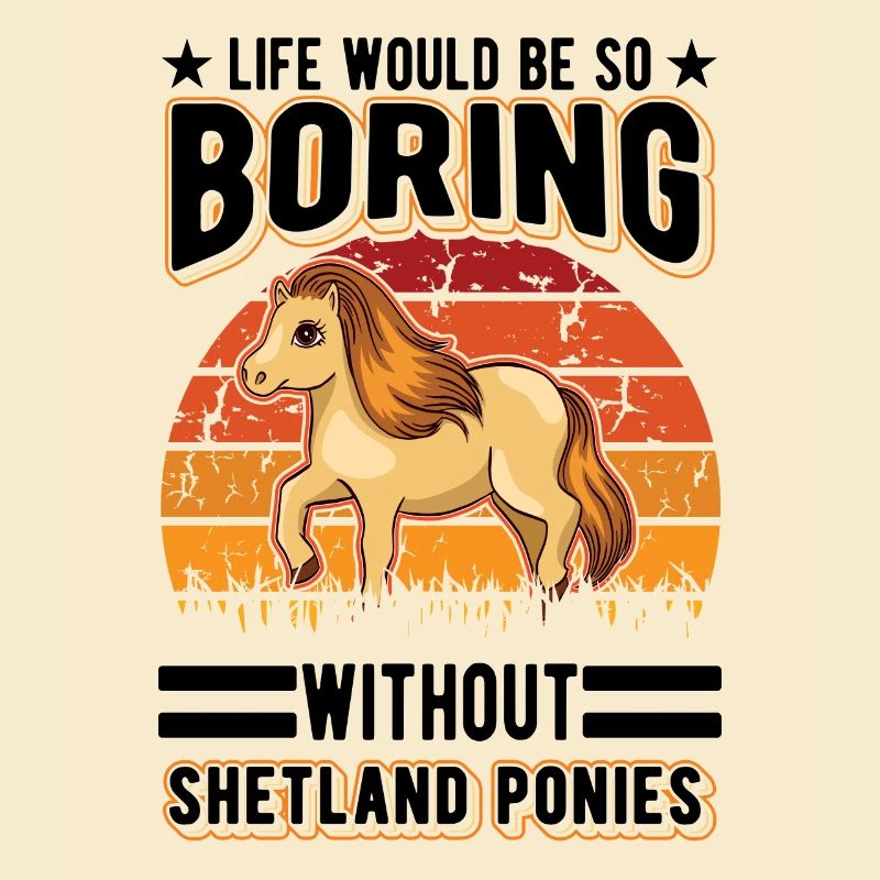 Shetland Pony Geschenk Shetty
