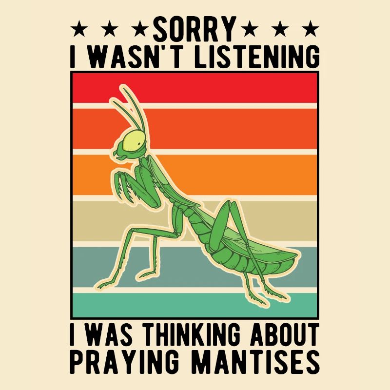 Gottesanbeterin Geschenk Mantis Fangschrecke