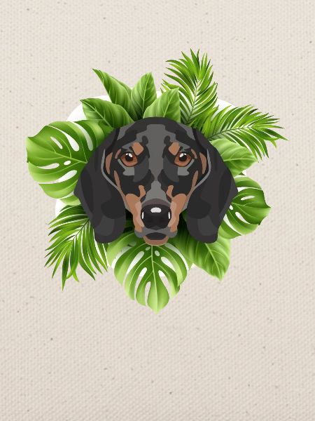 Tropical Dackel