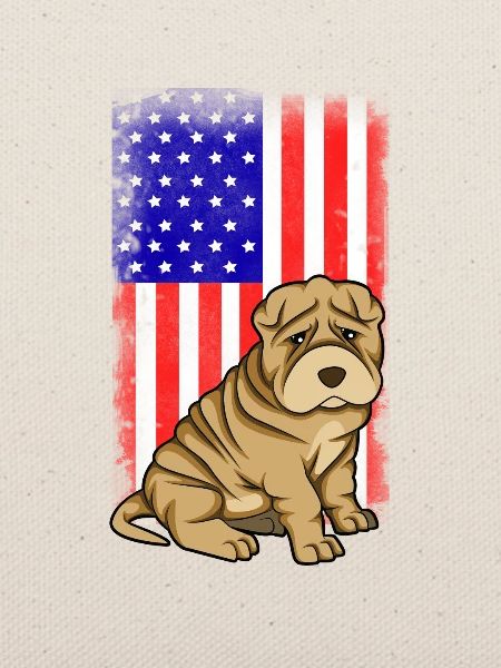 Chinese Shar Pei
