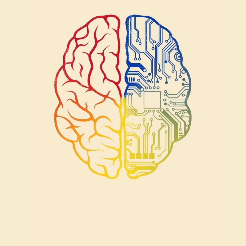 Programmeur Codeur - Développeur Programmation Cerveau