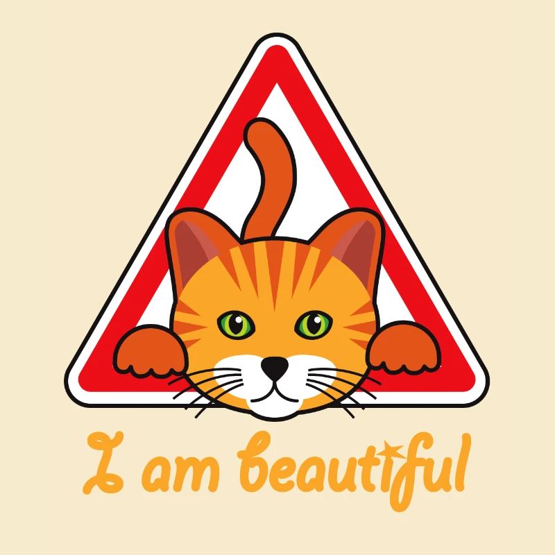 Katze - Ich bin eine wunderschöne Katze