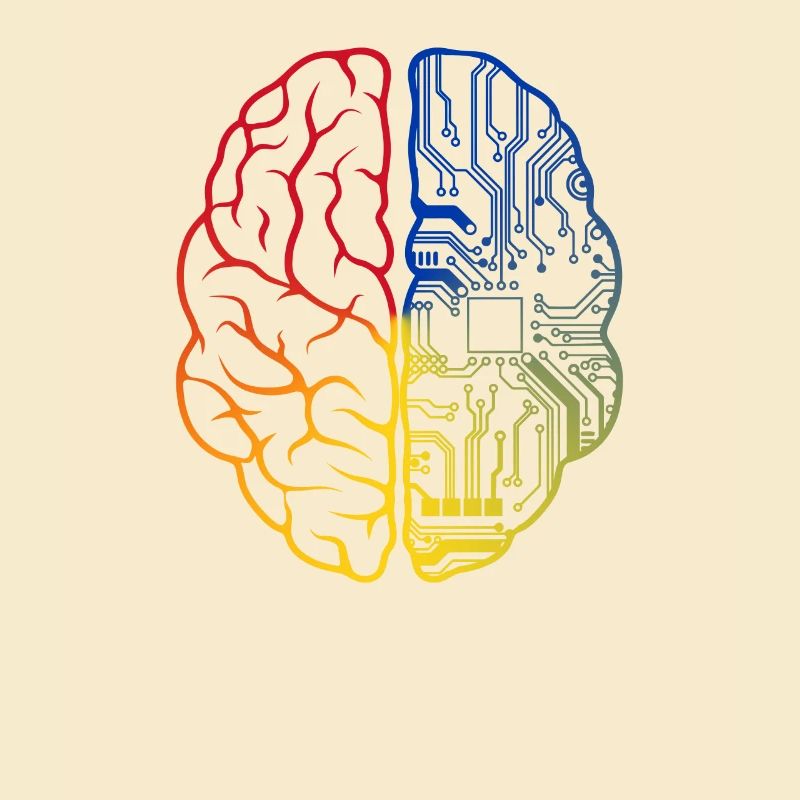 Programmeur HTML - Développeur Programmation Brain Fun