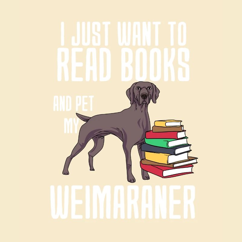 Weimaraner
