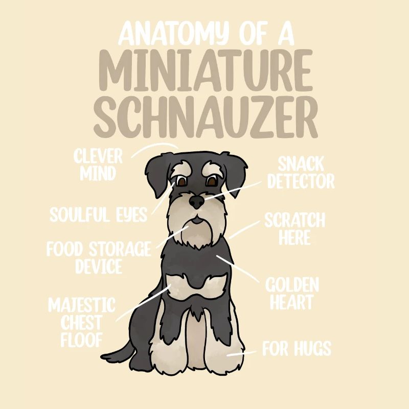 Zwergschnauzer