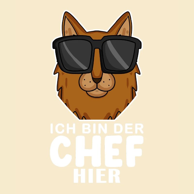 coole Katze - Somali Katze Spruch