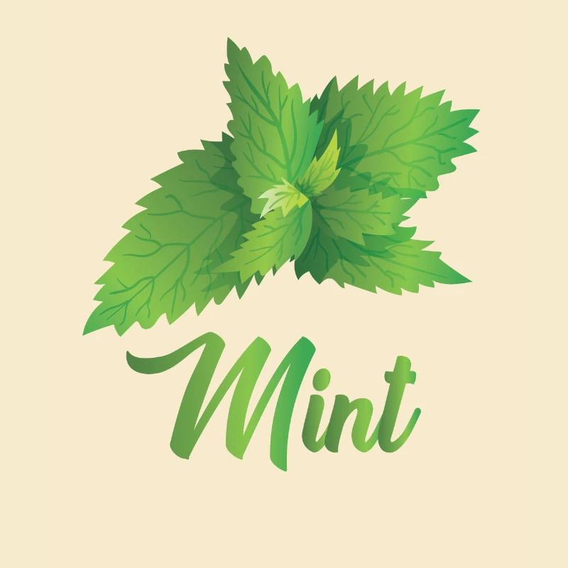 Minze