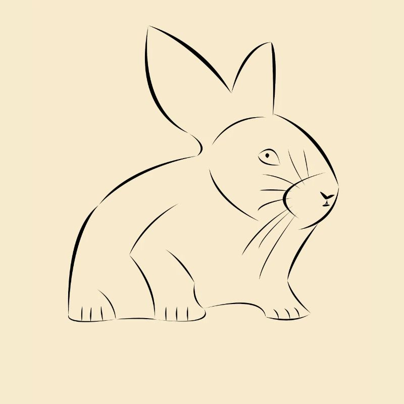 Rabbit drawn