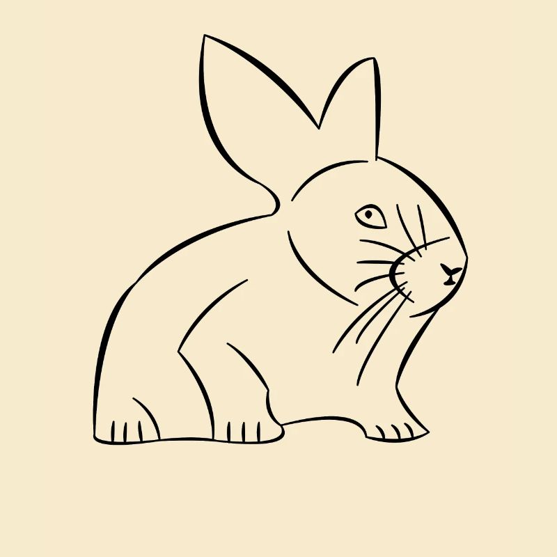 Rabbit drawn