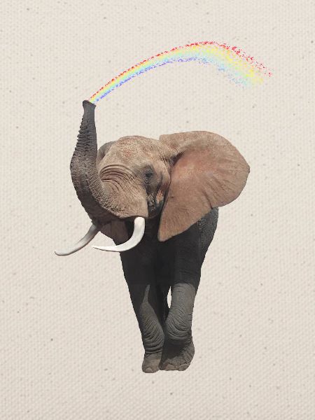 Elefant mit Regenbogen - Eli - Afrika