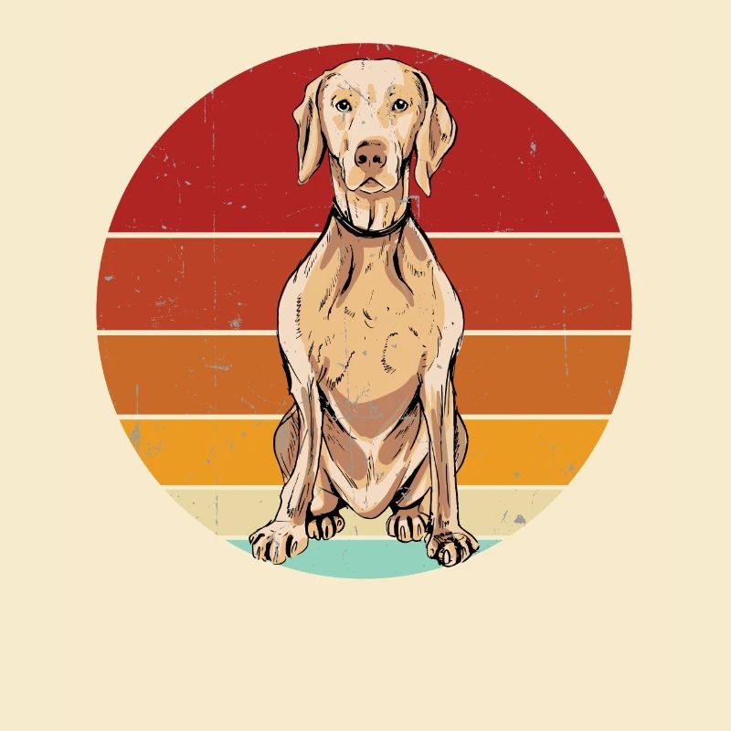 Weimaraner