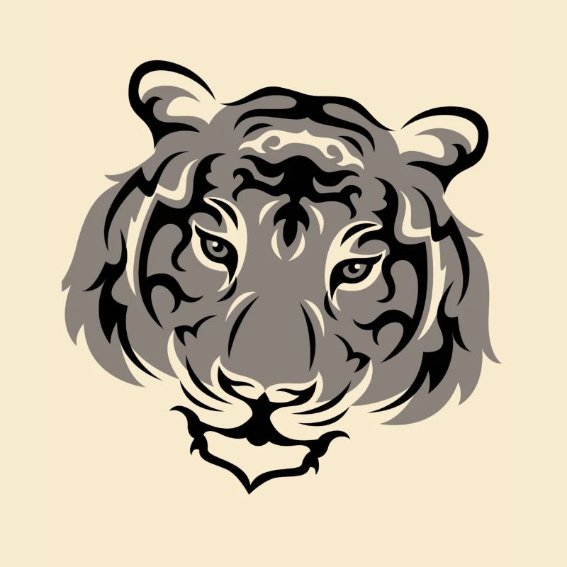 Tiger Wild Zoo