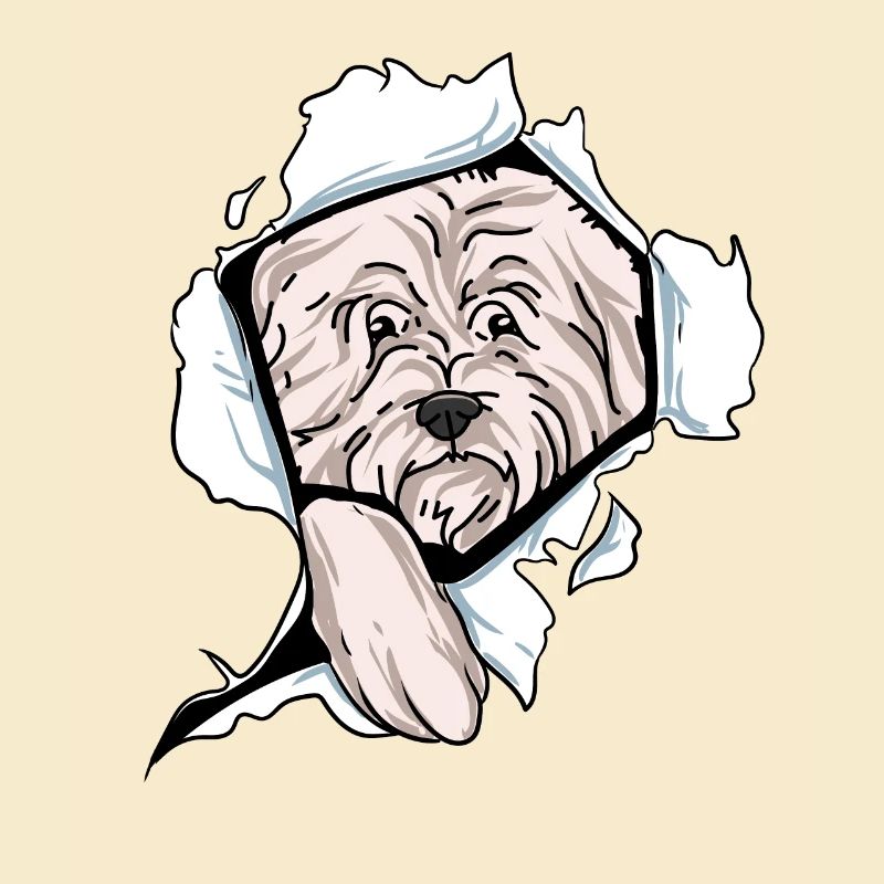 West Highland Terrier