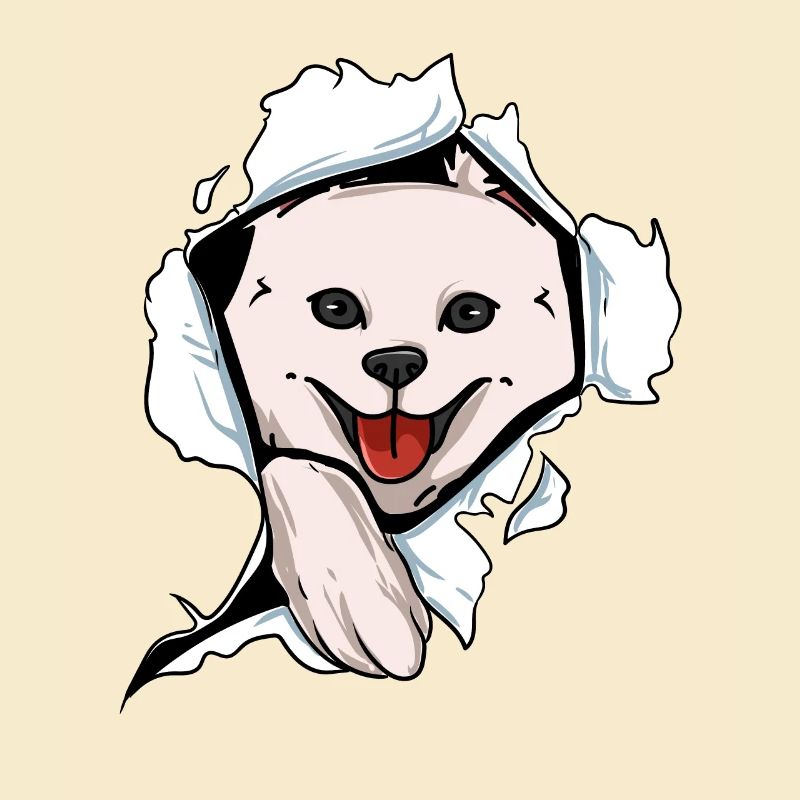 American Eskimo