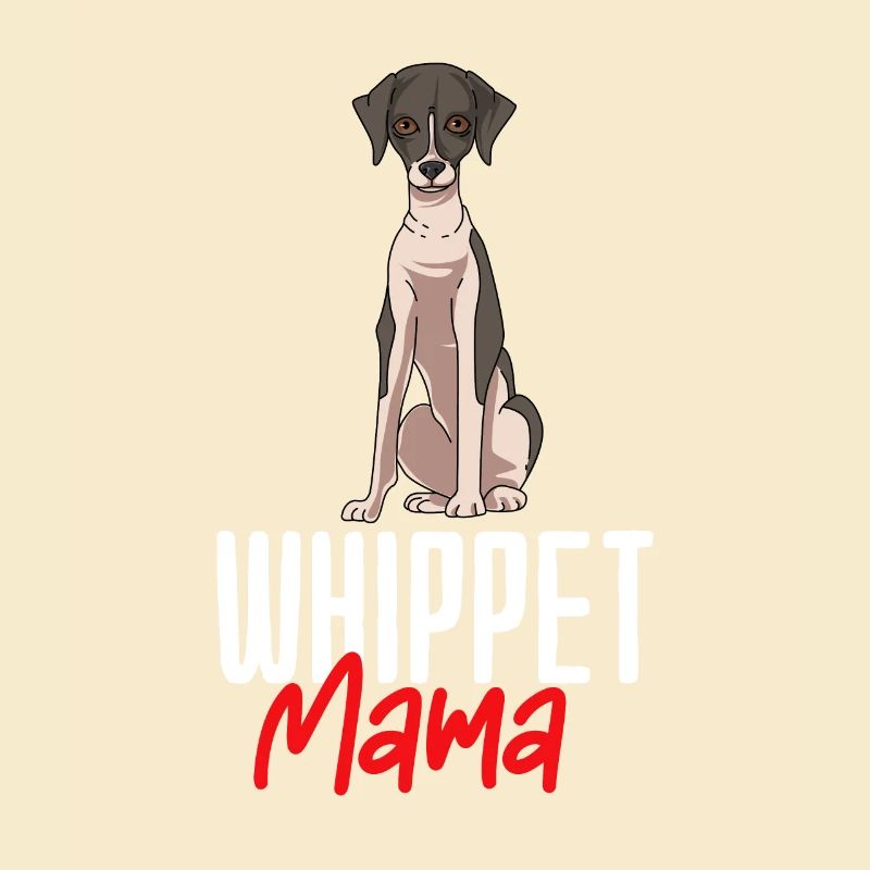 Whippet
