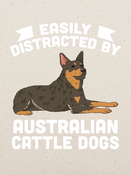 Australian Cattle Dog