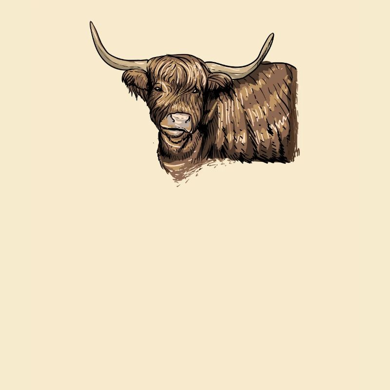Bovins Galloway I Ecosse élevage bovin pour