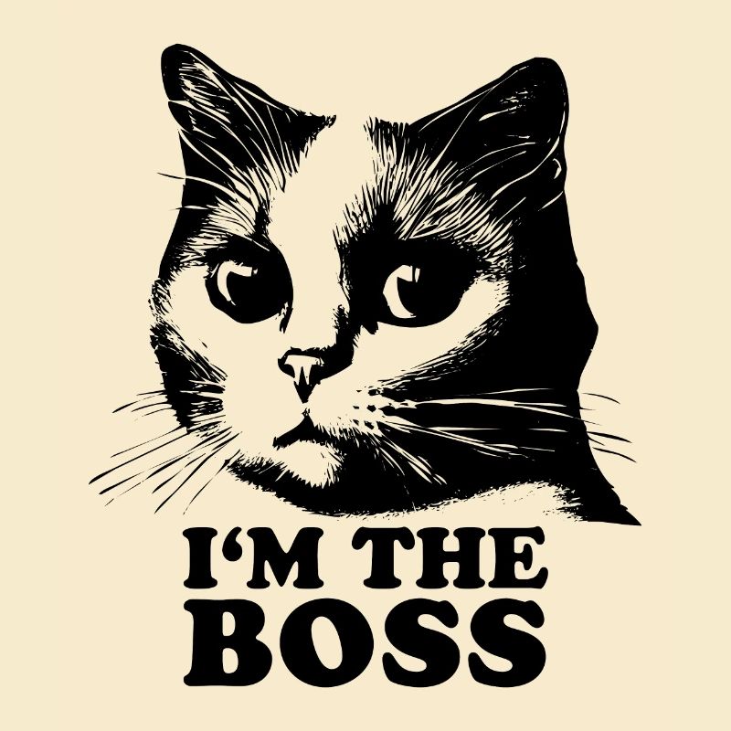 Katze