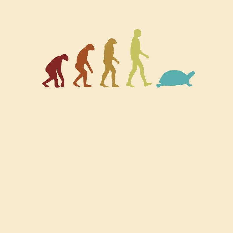 Turtle Evolution Wasserschildkröte Schildkröte