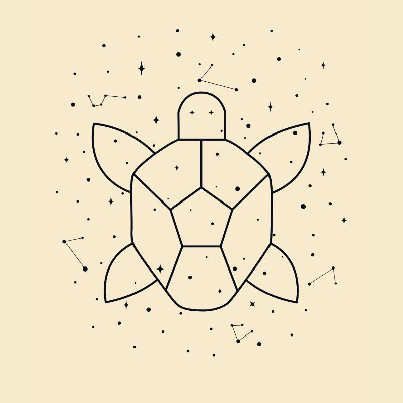 Constellation Aquatic Turtle constellation