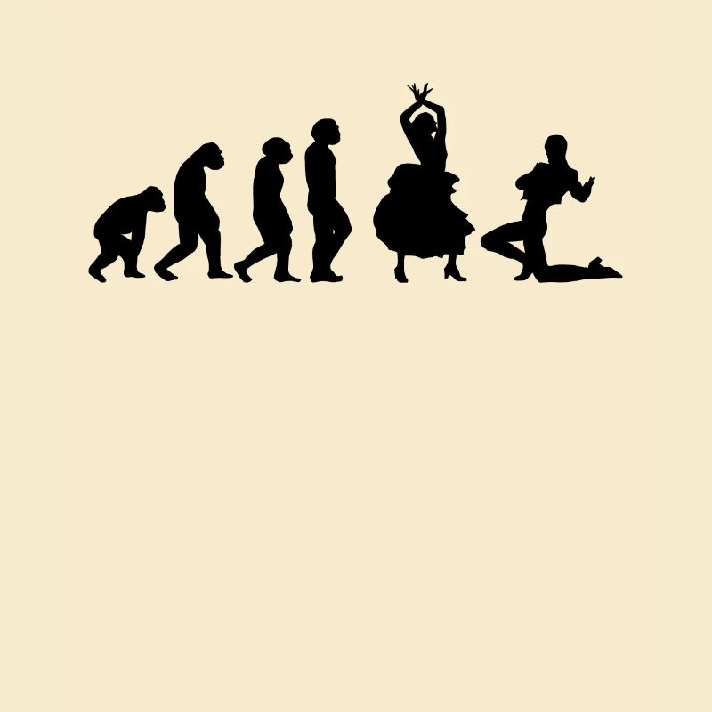 Flamenco Dancer Flamenco Dance Evolution