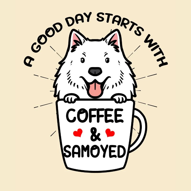 Café et chien Samoyède Samoyedenspitz
