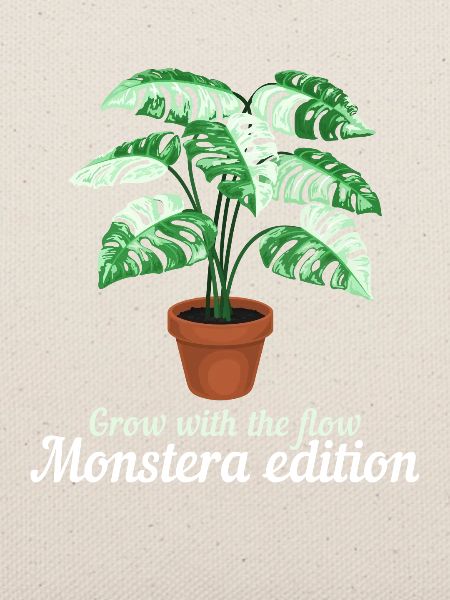 Grow With The Flow Monstera