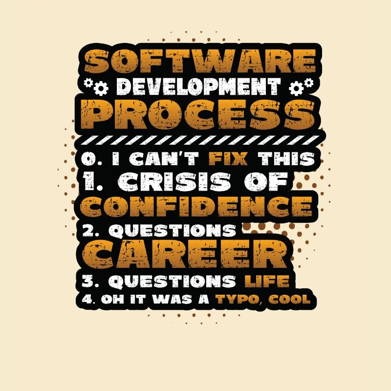 Processus de développement de logiciels, programmation