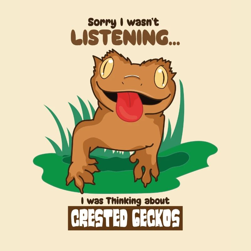 Thinking About Geckos Cute Lizard Reptile Animals