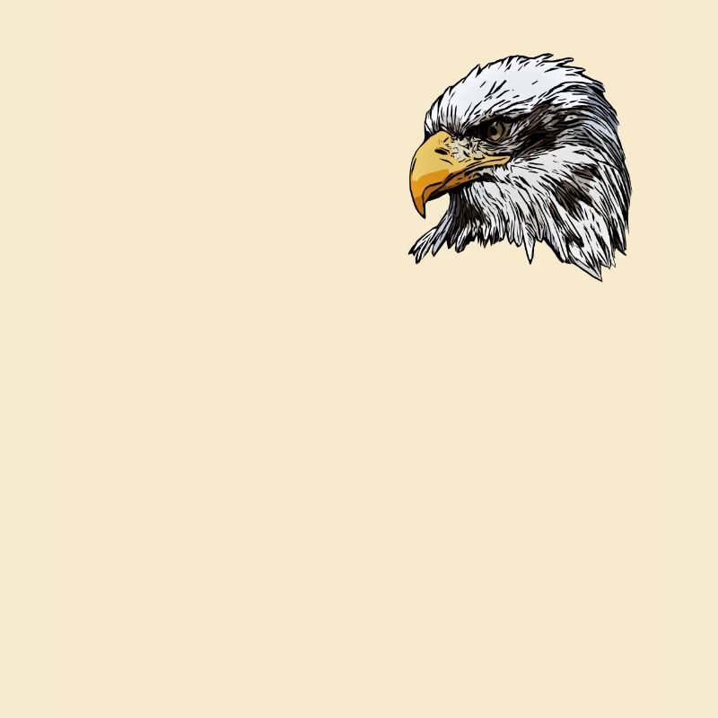 Bald Eagle Bird Graphic Design