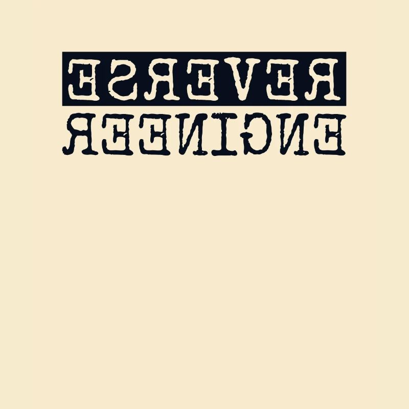 Reverse Engineer Softwareingenieur Developer