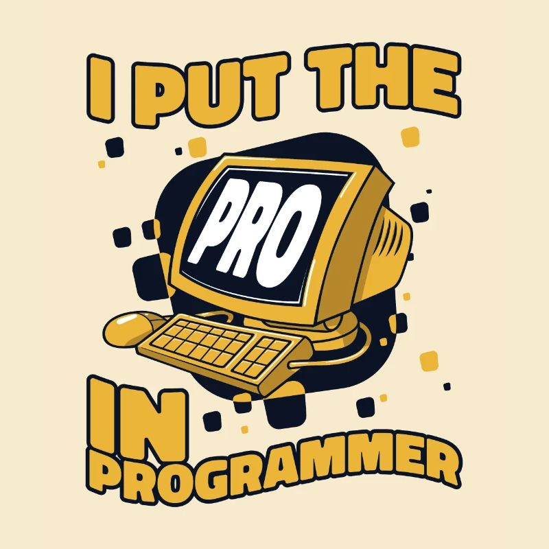 J’ai mis le pro dans Programmeur Developer Coder
