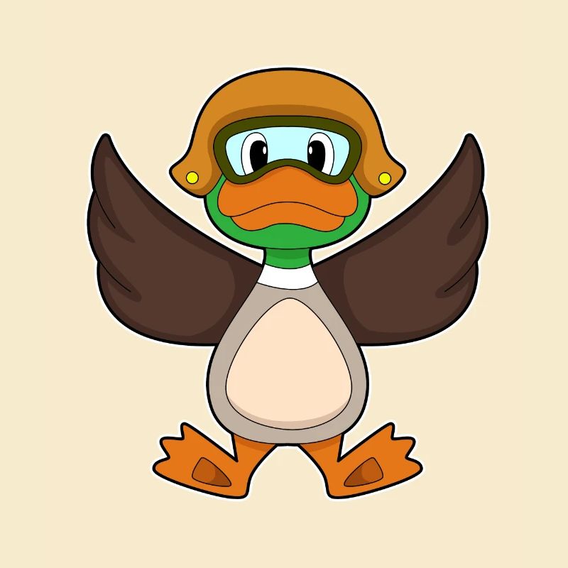 Duck Fly Helmet
