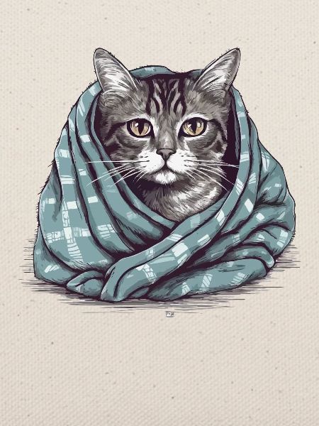 Katze in einer Decke