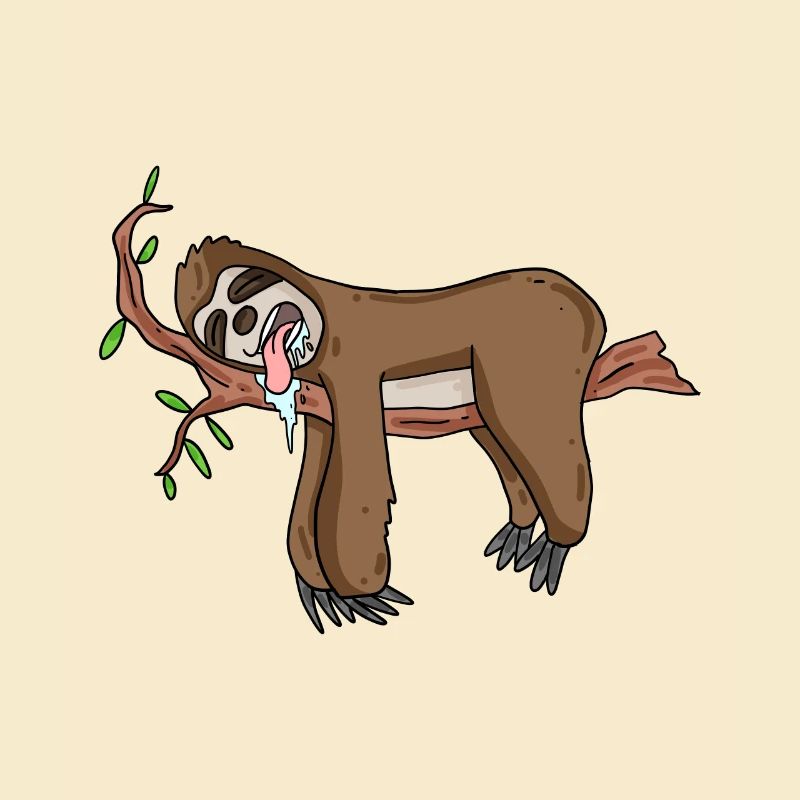 Sleeping sloth